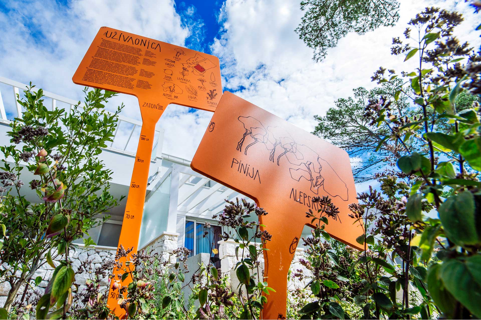 Location ecologica (in seno al progetto “La natura con cui cresciamo”) allo Zaton Holiday Resort Location ecologica (in seno al progetto “La natura con cui cresciamo”) allo Zaton Holiday Resort