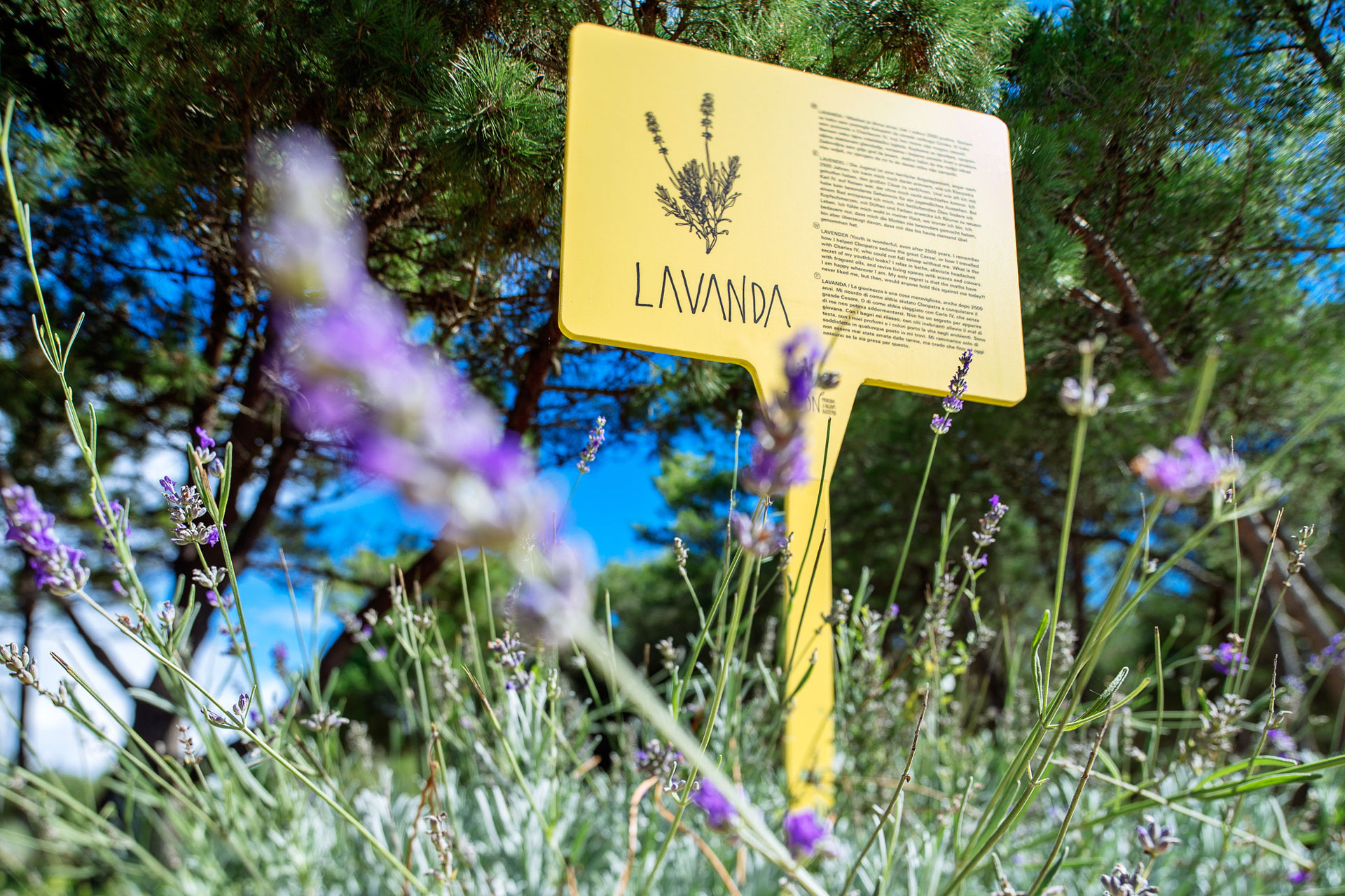 Eco Spots - Nature we grow with Eco Spots - Nature we grow with